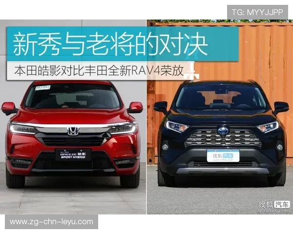 荷兰门将对比:老将与新秀谁更稳健?